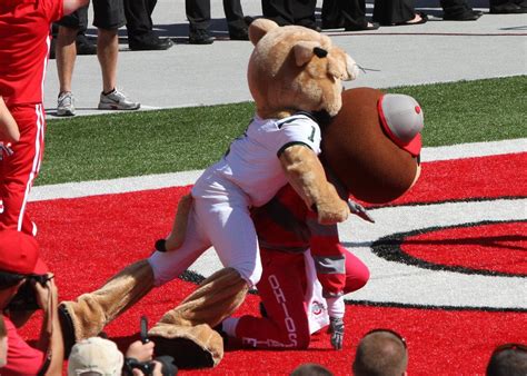 Mascot Attacks: A Cry for Help or a Mindless Act of Violence?